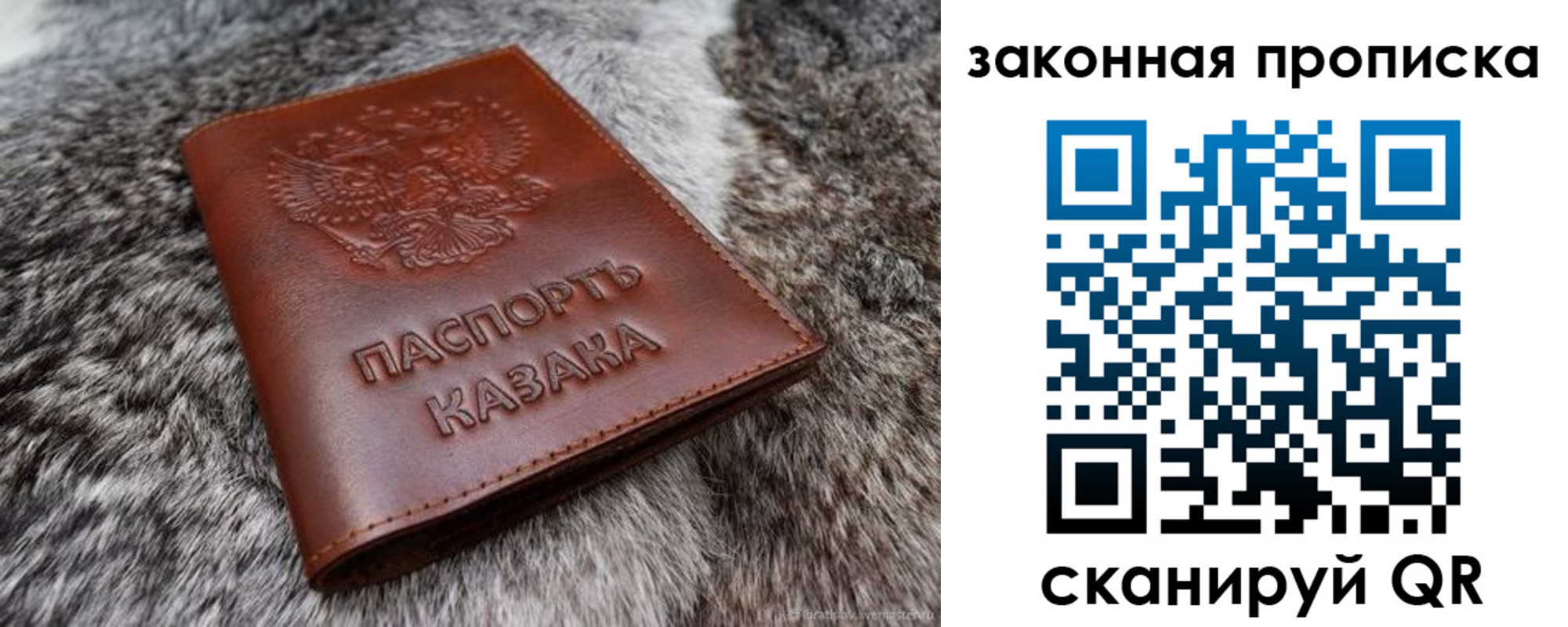 прописка в Вологде